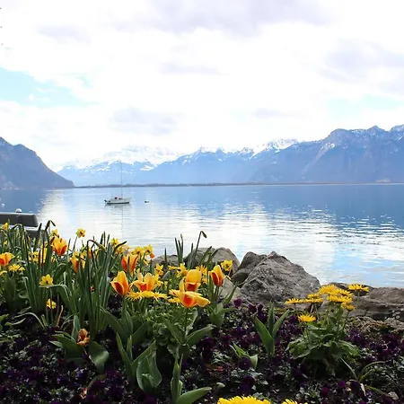 The Boutique Montreux